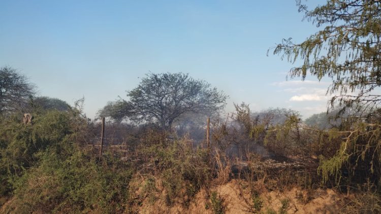 Ocurre ahora: incendio de gran magnitud en el Monte de Las Varillas