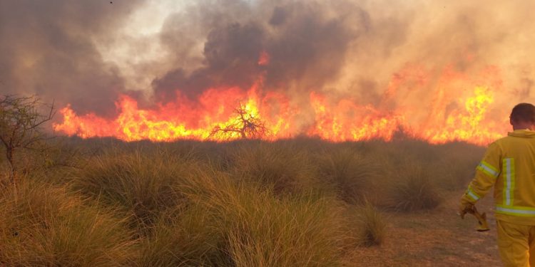 Ocurre ahora: incendio de gran magnitud en el Monte de Las Varillas