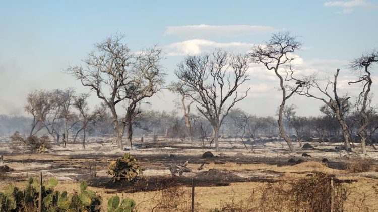 Ocurre ahora: incendio de gran magnitud en el Monte de Las Varillas