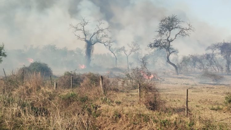 Ocurre ahora: incendio de gran magnitud en el Monte de Las Varillas