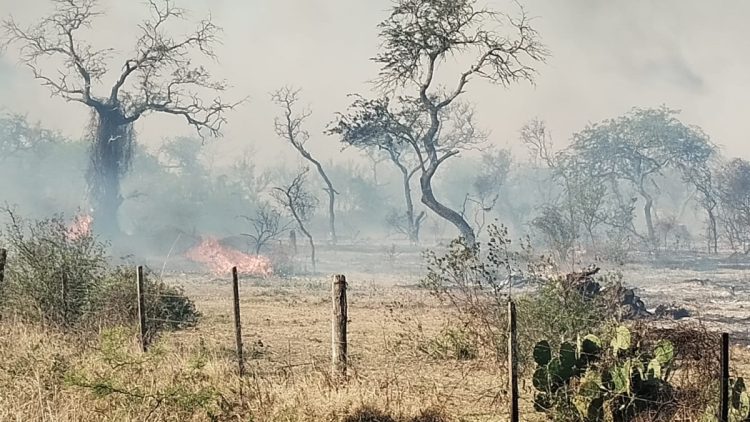 Ocurre ahora: incendio de gran magnitud en el Monte de Las Varillas