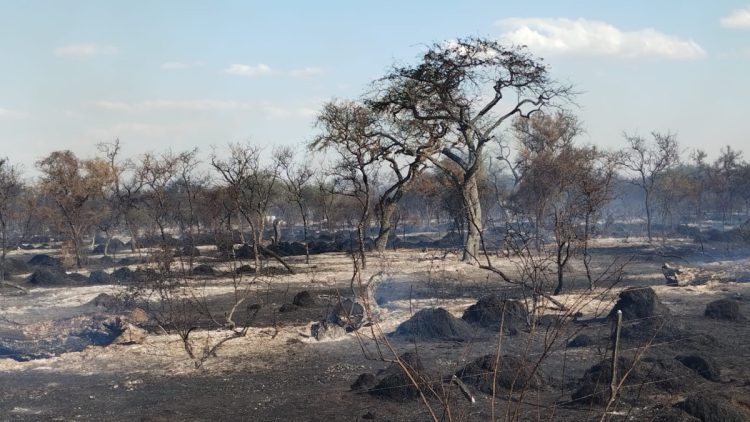 Ocurre ahora: incendio de gran magnitud en el Monte de Las Varillas