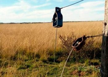 Cuantioso robo en un campo de la zona rural de El Fortín