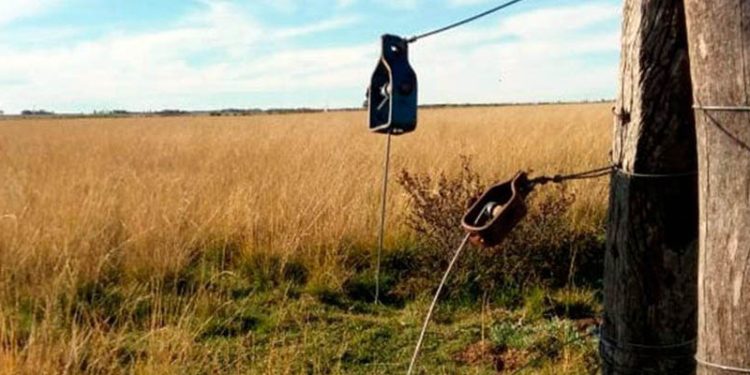 Cuantioso robo en un campo de la zona rural de El Fortín