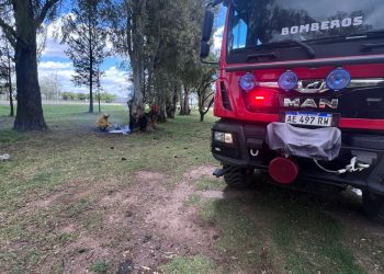 Incendio de un árbol en el cruce de Rutas 3 y 13