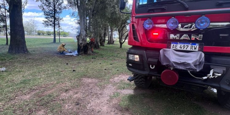 Incendio de un árbol en el cruce de Rutas 3 y 13