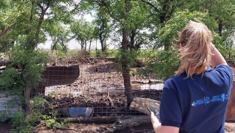 Allanamientos de establecimientos en terrenos fiscales. Precisiones