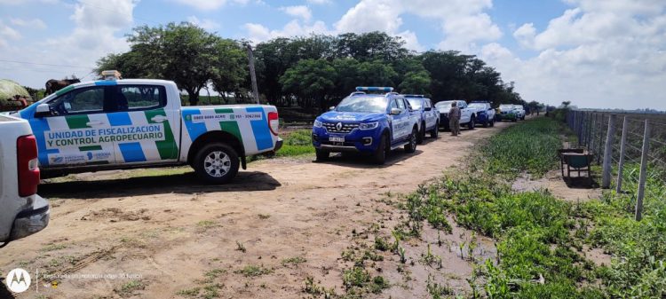 Allanamientos de establecimientos en terrenos fiscales. Precisiones