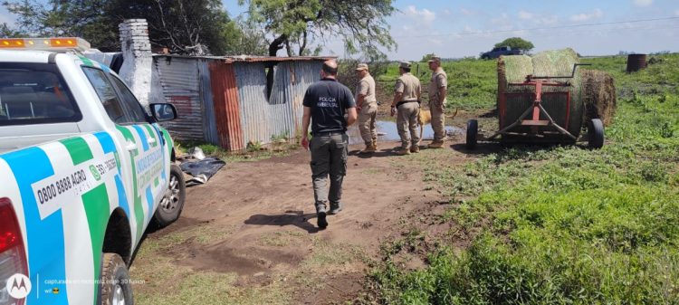 Allanamientos de establecimientos en terrenos fiscales. Precisiones