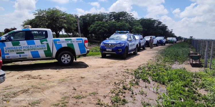 Allanaron establecimientos ganaderos