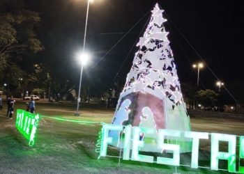 Encendido del arbolito navideño en nuestra ciudad