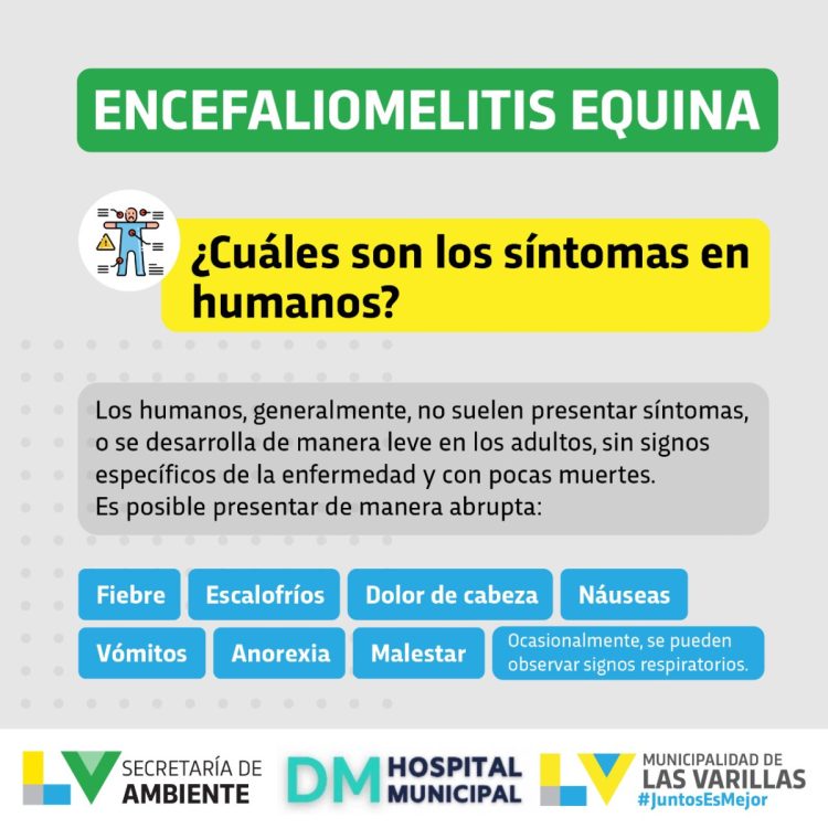 Encefalomielitis equina: qué es. Recomendaciones