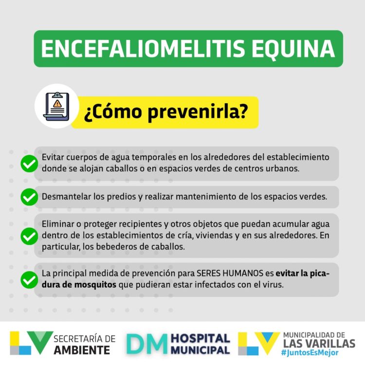 Encefalomielitis equina: qué es. Recomendaciones