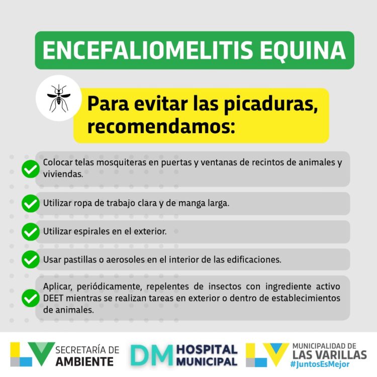 Encefalomielitis equina: qué es. Recomendaciones