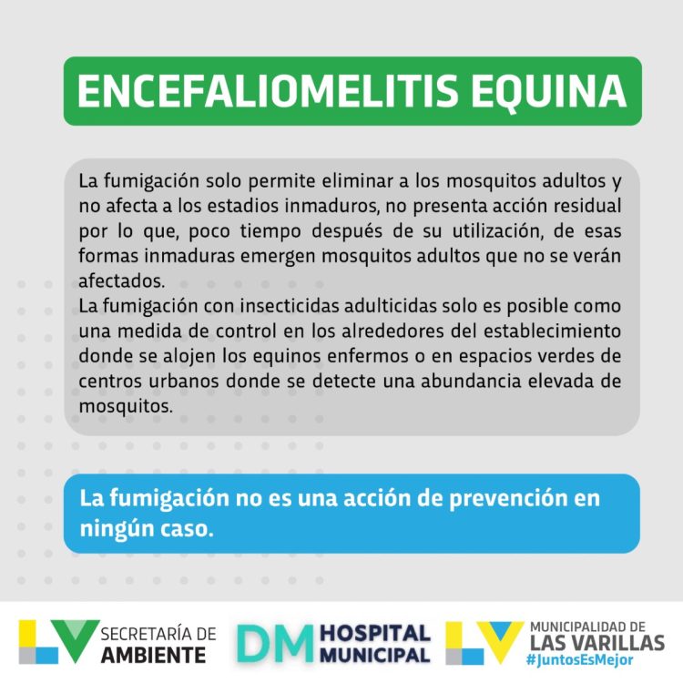 Encefalomielitis equina: qué es. Recomendaciones