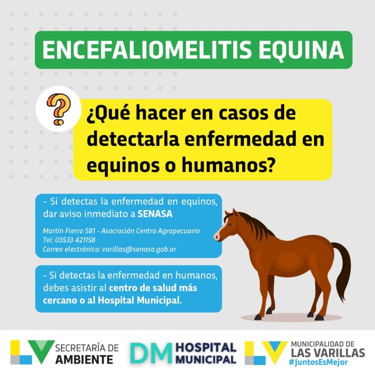 Encefalomielitis equina: qué es. Recomendaciones