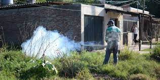 Programa  para evitar la proliferación de mosquitos