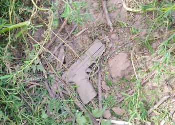 Hallaron en  Arroyo Algodón  la pistola con la que fue asesinado  Daniel Martinengo