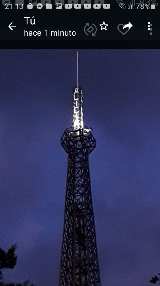 El hombre de la Torre. Por Luis Ansaldi