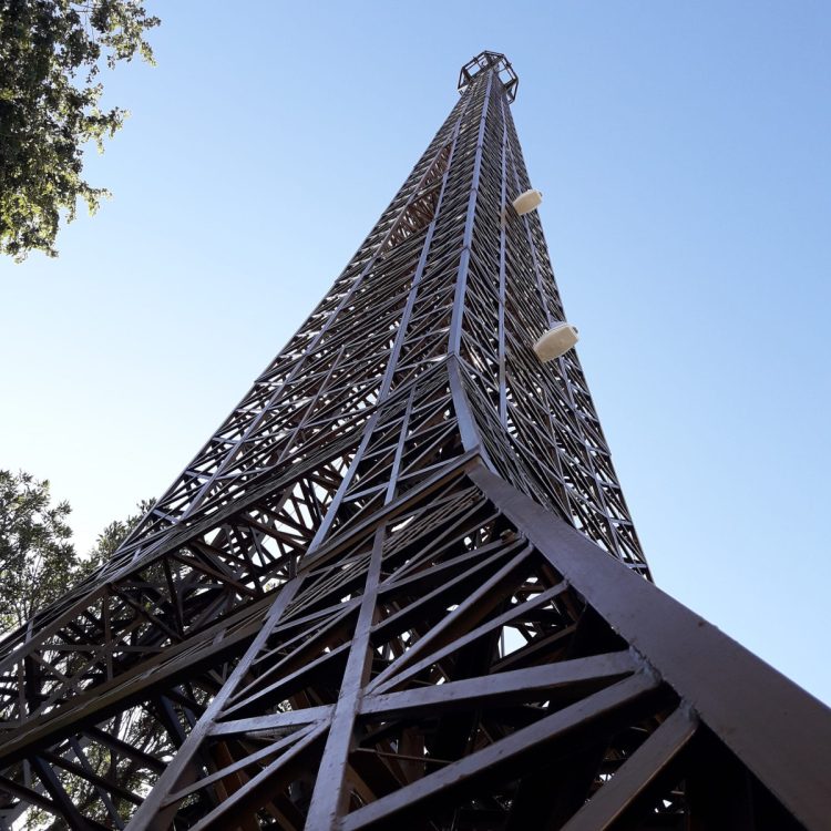 El hombre de la Torre. Por Luis Ansaldi