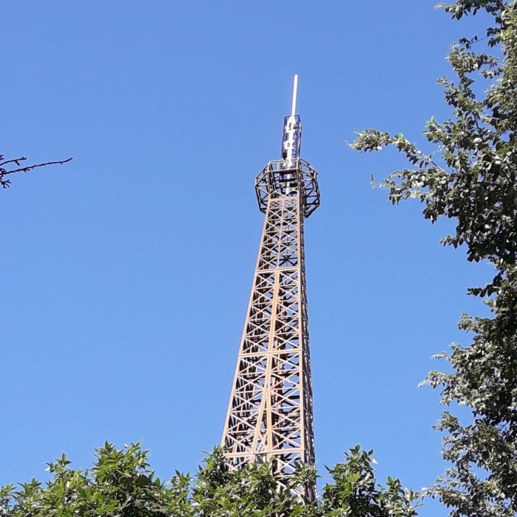 El hombre de la Torre. Por Luis Ansaldi