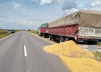 Un camión derramó cereal en la Ruta 13