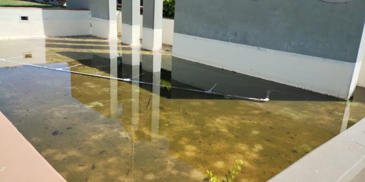 Peligro de dengue en la zona céntrica