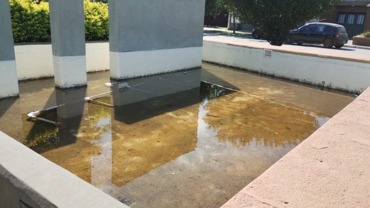 Peligro de dengue en la zona céntrica