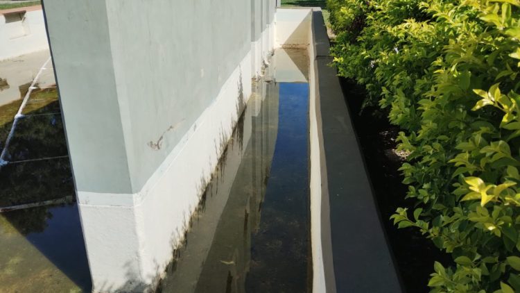 Peligro de dengue en la zona céntrica