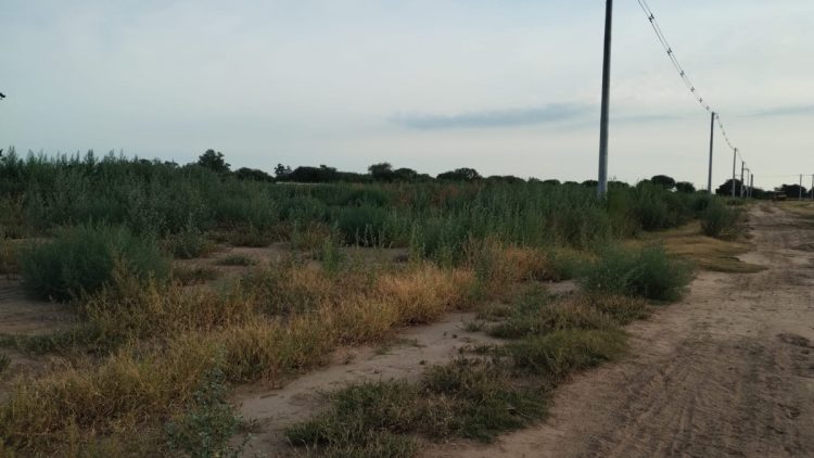 Desmalezan lotes contiguos a Aires del Este