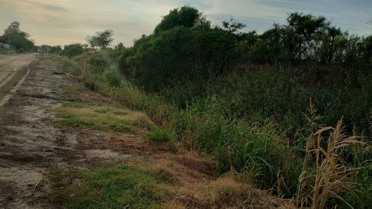 Desmalezan lotes contiguos a Aires del Este
