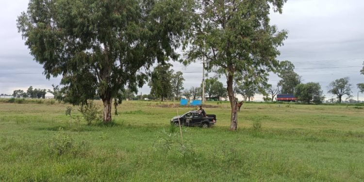 Se sumaron 38 nuevos positivos  de dengue