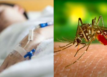 Hay cerca de 20 internados por dengue en Las Varillas