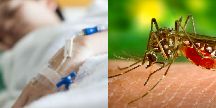 Hay cerca de 20 internados por dengue en Las Varillas