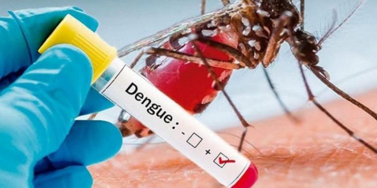 Nuevo protocolo: ya no será necesario la prueba serológica para diagnosticar un positivo de dengue
