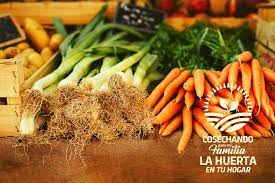 Programa  “La Huerta en mi Hogar”.Cómo acceder a las semillas