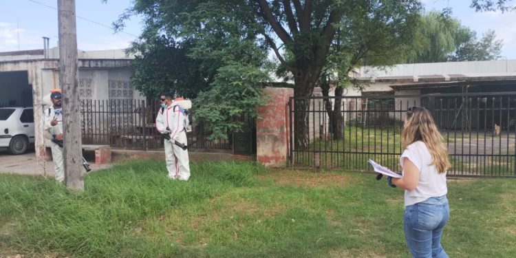 Operarios de Zoonosis de la provincia  y municipales ya trabajan en distintos sectores de la ciudad