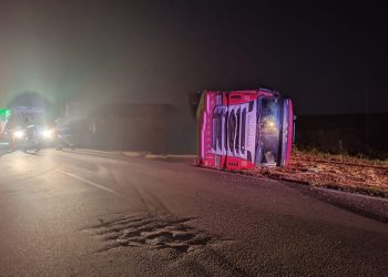 Otro accidente provocado por un equino suelto en la ruta