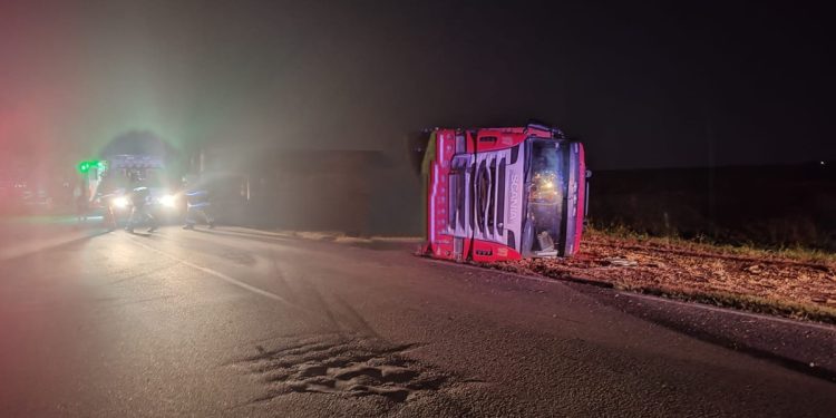 Otro accidente provocado por un equino suelto en la ruta