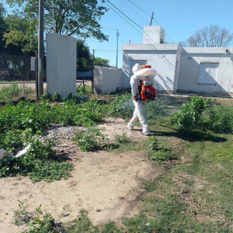 Dengue: las brigadas de prevención continúan trabajando en los domicilios de la ciudad
