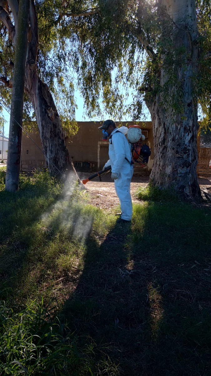 Dengue: las brigadas de prevención continúan trabajando en los domicilios de la ciudad