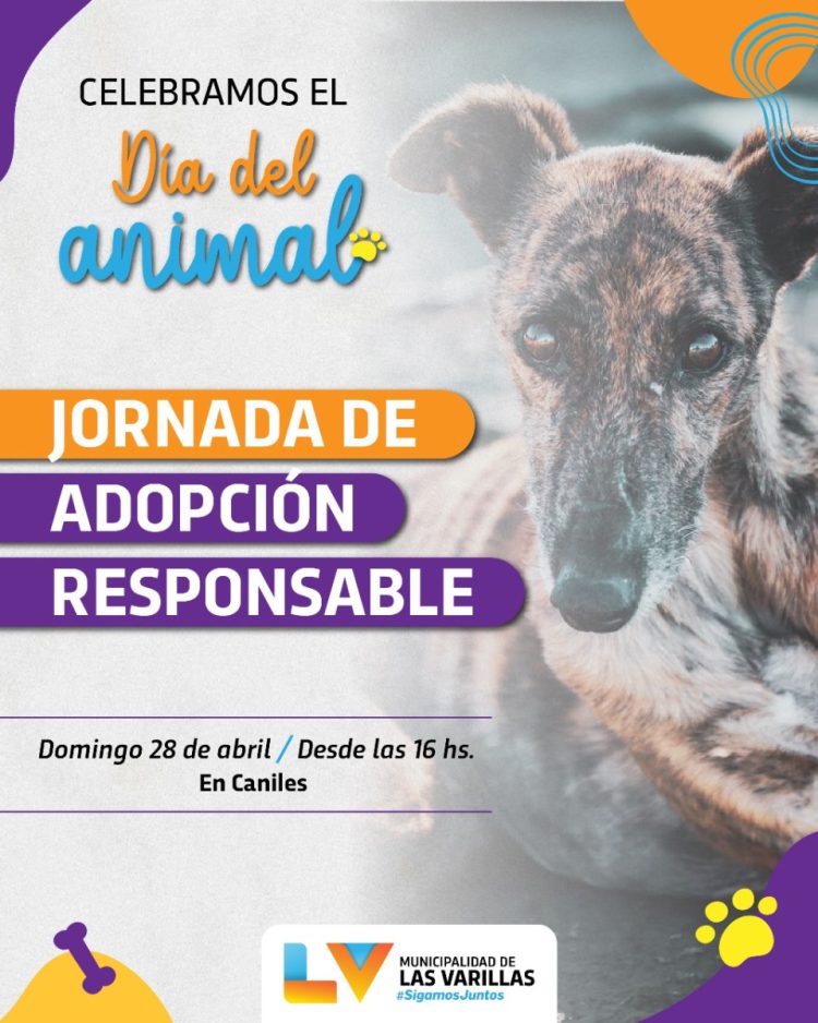 Jornada en caniles por el Día del Animal