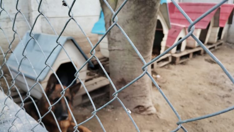 Preparando nuestro hogar para el domingo