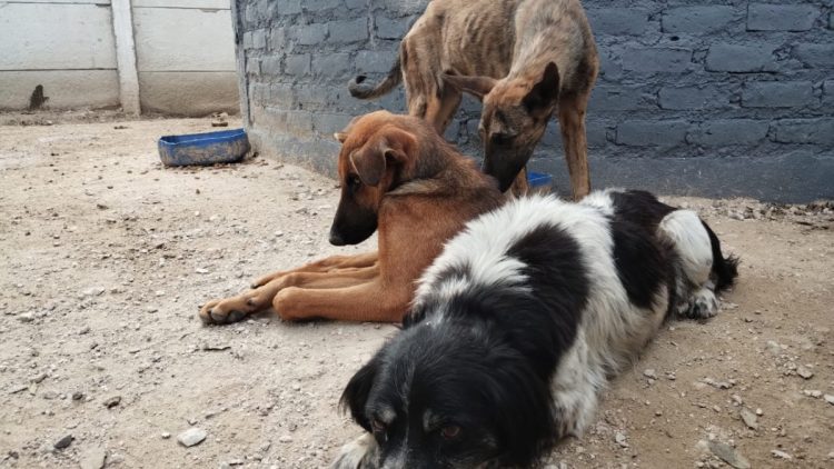 Preparando nuestro hogar para el domingo