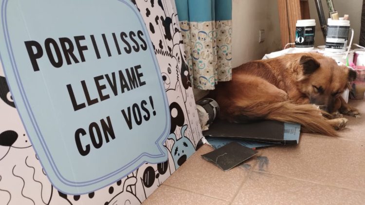 Preparando nuestro hogar para el domingo