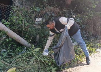 Comenzó la campaña para evitar la propagación del mosquito del dengue