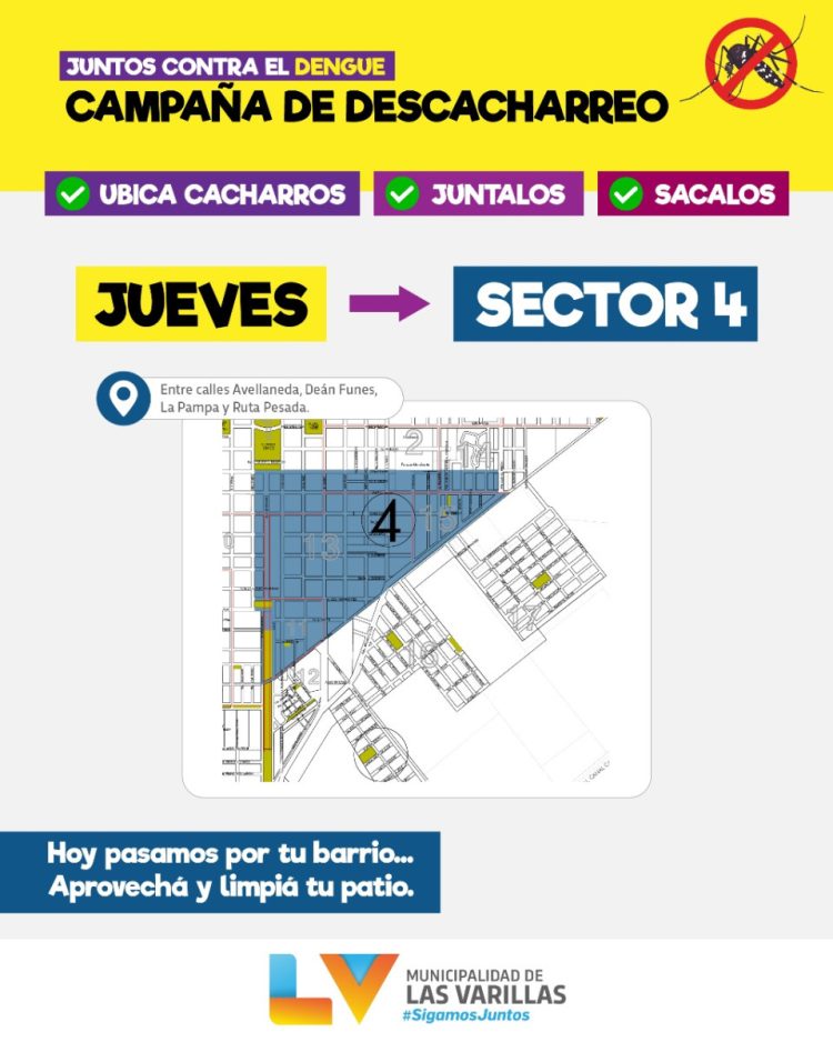 Continúa el recorrido de cuadrillas de la municipalidad para recoger desechos de patios