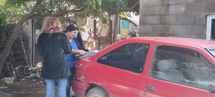 Comenzó la campaña para evitar la propagación del mosquito del dengue