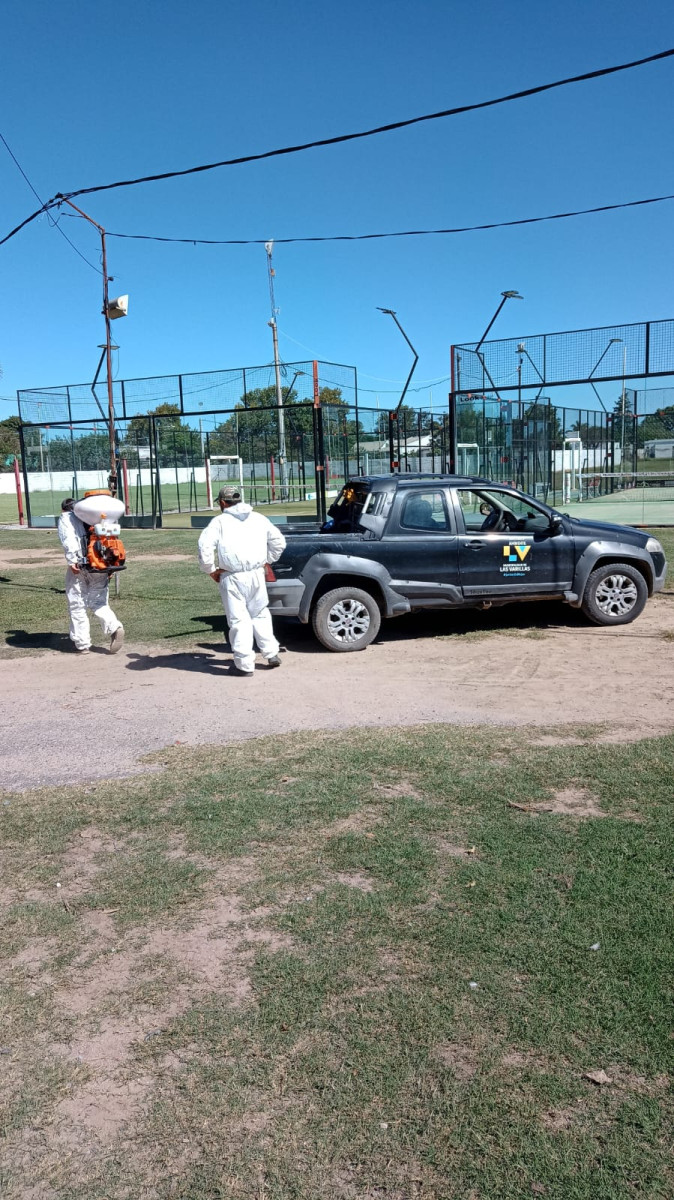 El municipio continúa trabajando para combatir al mosquito aedes aegypti