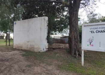 Robaron nuevamente en el vivero de APADIM